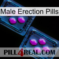 Male Erection Pills 03